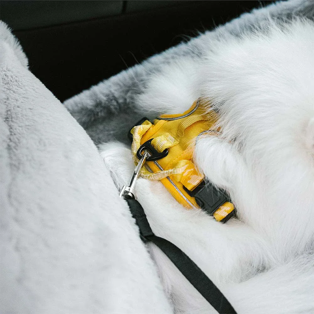 3 en 1 Siège auto pour chien en peluche et chaud - Cruiser d'hiver - Image 10