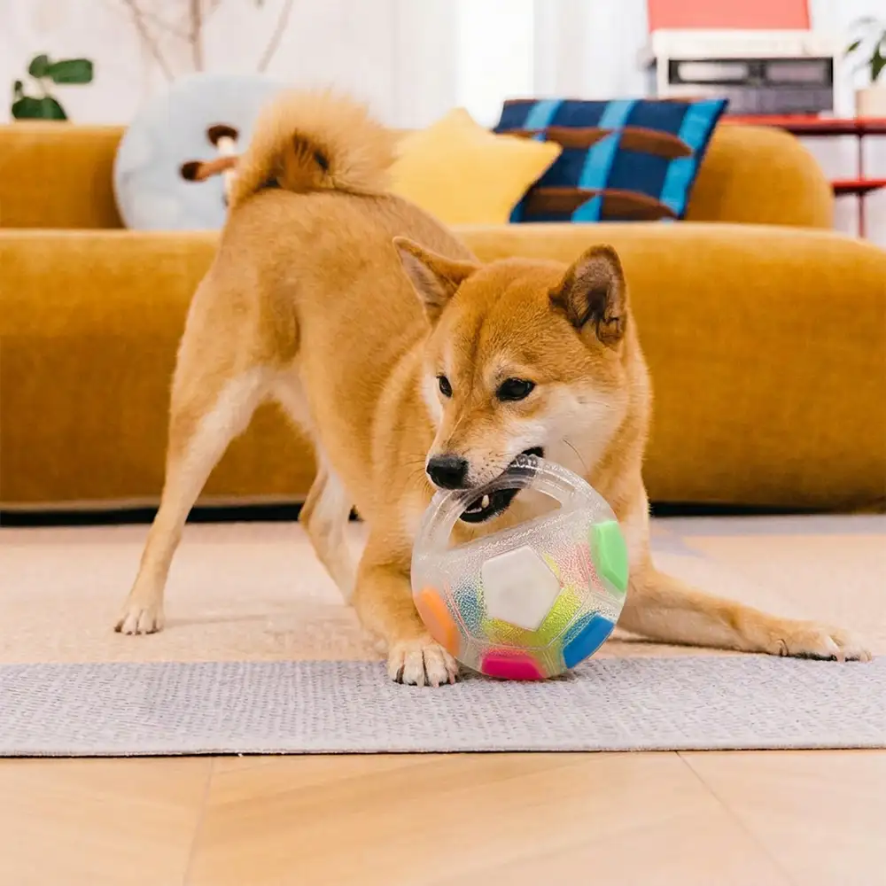 Balle de soccer pour chien avec poignée, jouet de mastication flottant - Image 10