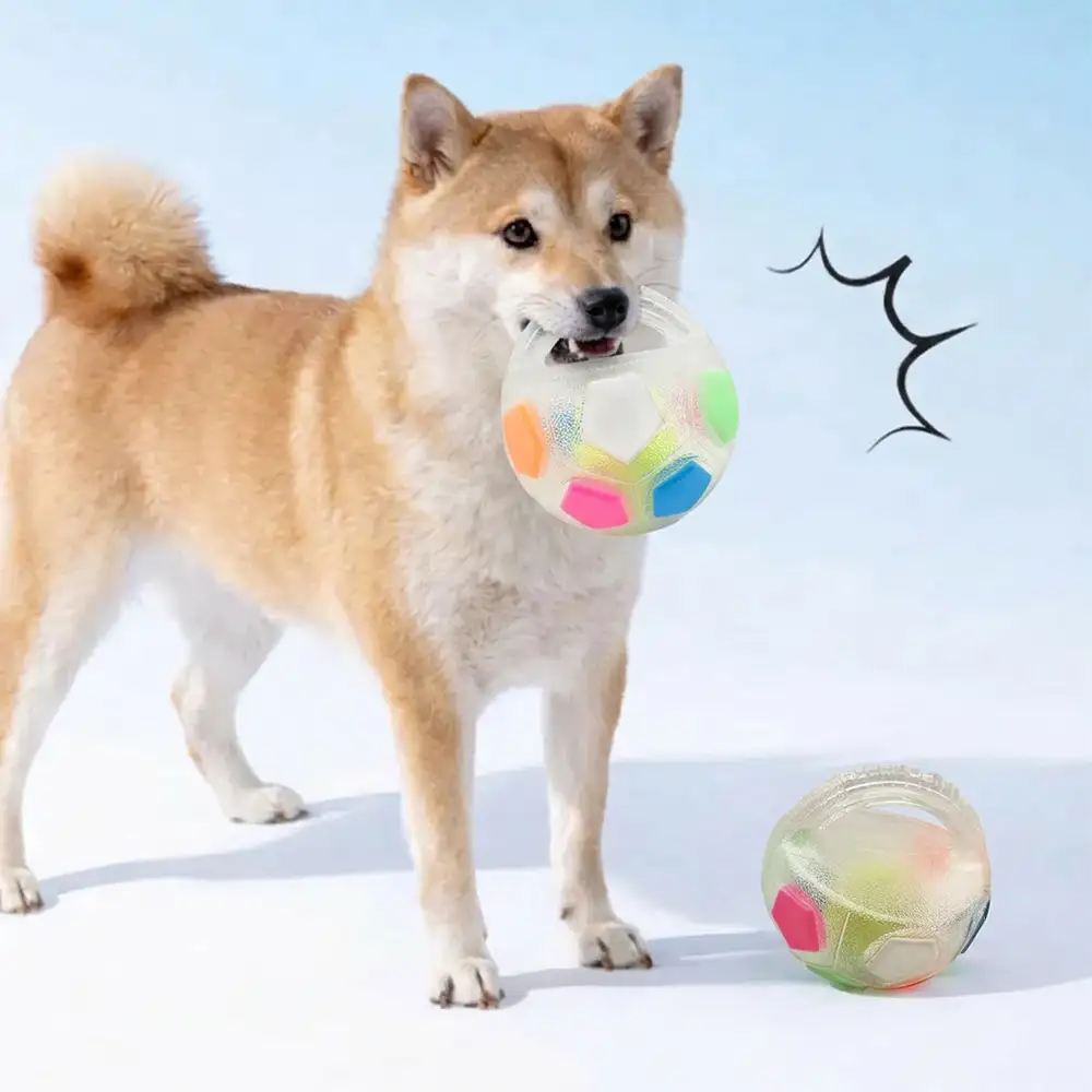 Balle de soccer pour chien avec poignée, jouet de mastication flottant - Image 11