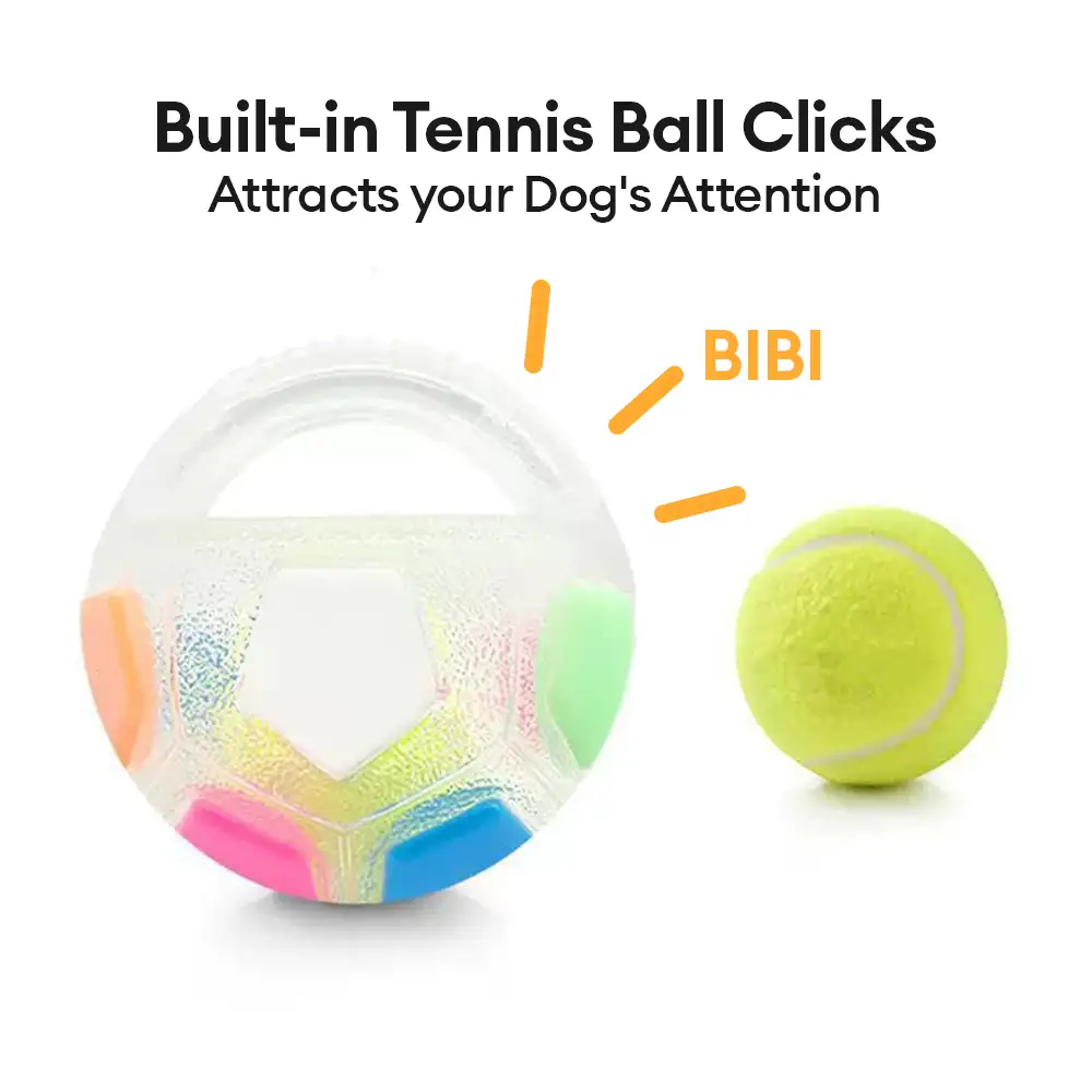 Balle de soccer pour chien avec poignée, jouet de mastication flottant - Image 4