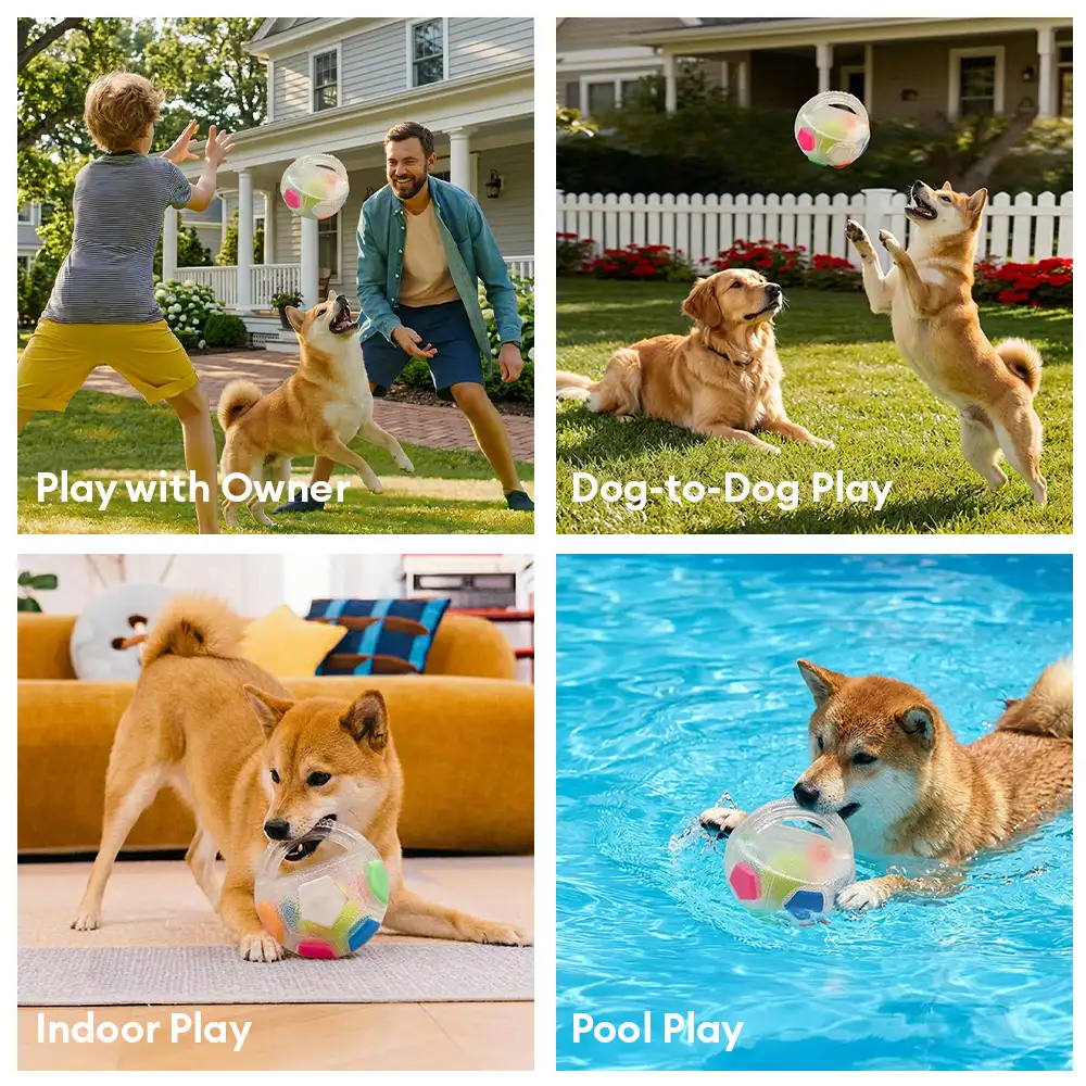 Balle de soccer pour chien avec poignée, jouet de mastication flottant - Image 5
