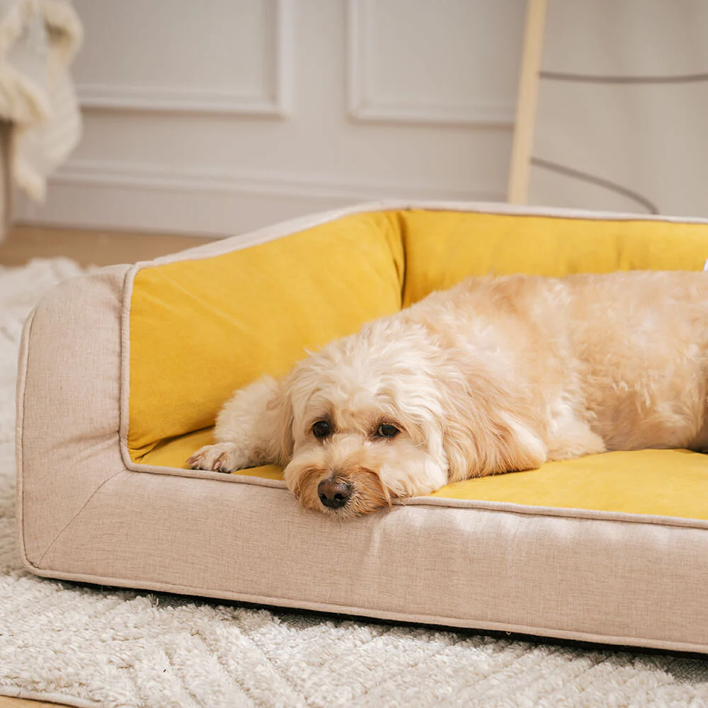 Canapé-lit orthopédique confortable pour chien à soutien complet - Image 3