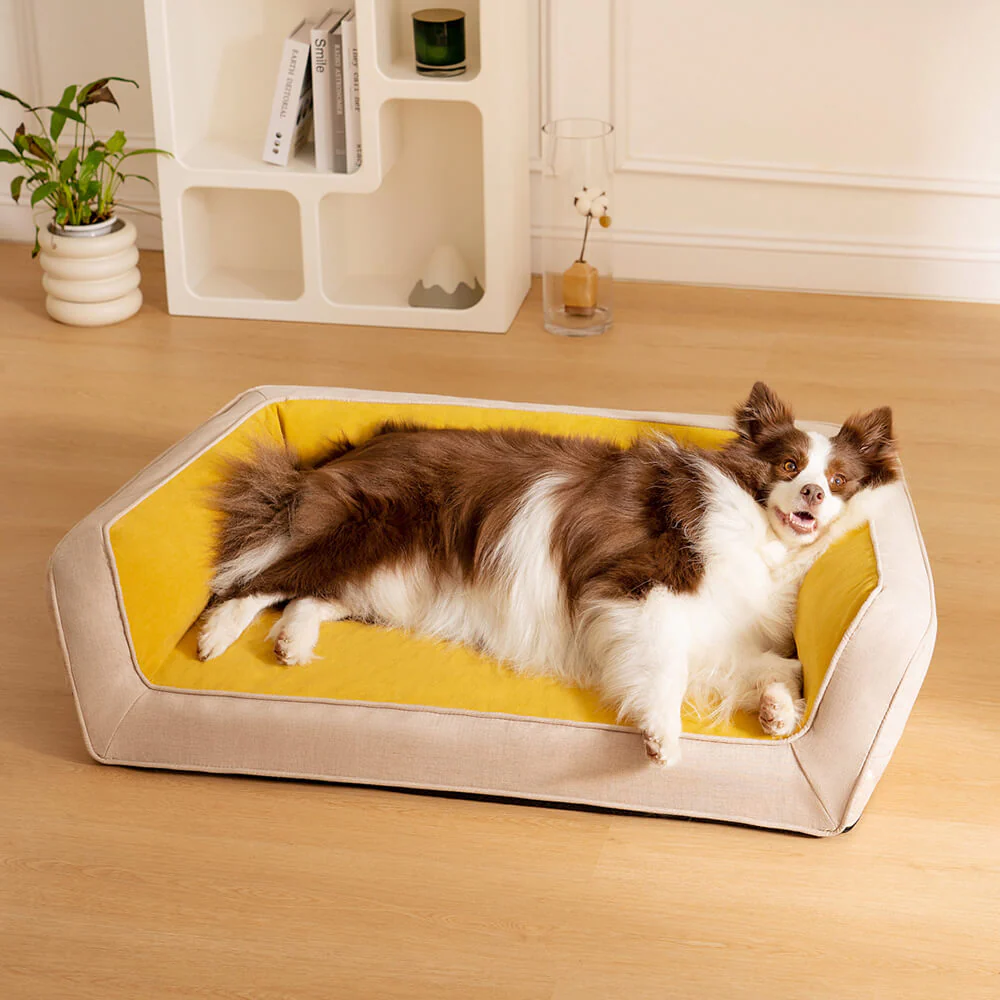 Canapé-lit orthopédique confortable pour chien à soutien complet - Image 9