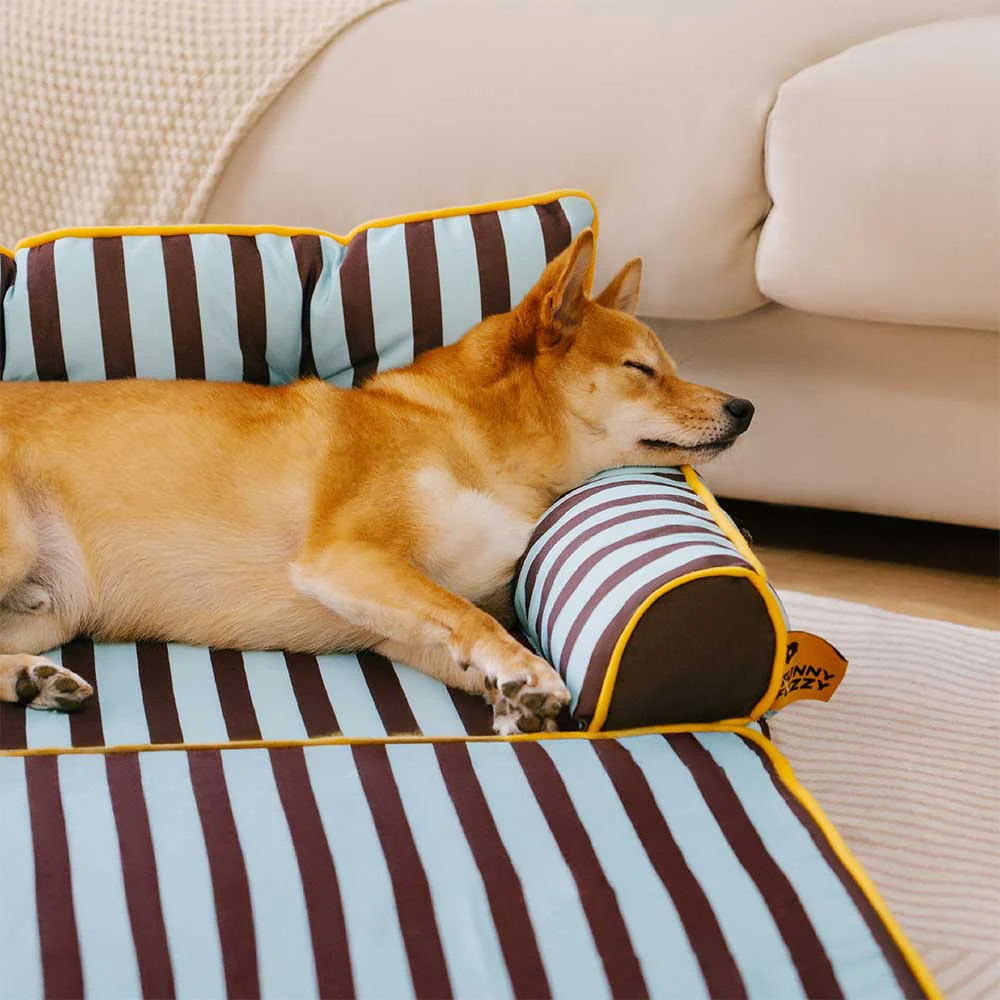 Canapé-lit pliable déperlant pour chien à rayures tendance - Sunny Siesta - Image 10