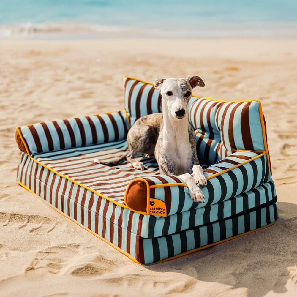 Canapé-lit pliable déperlant pour chien à rayures tendance - Sunny Siesta - Image 17