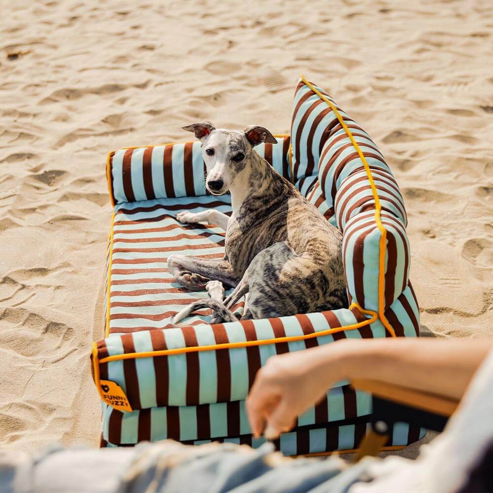Canapé-lit pliable déperlant pour chien à rayures tendance - Sunny Siesta - Image 18