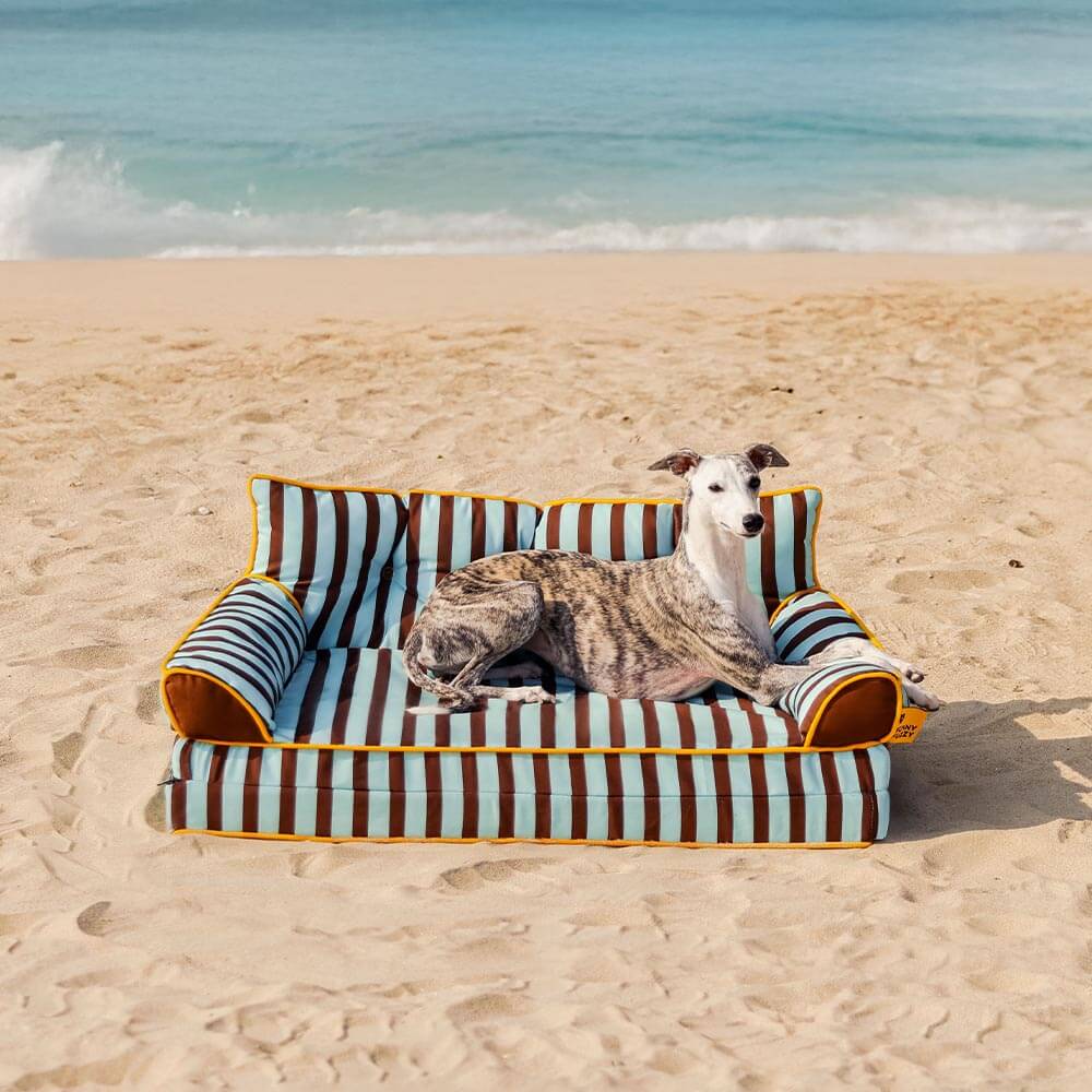 Canapé-lit pliable déperlant pour chien à rayures tendance - Sunny Siesta - Image 19
