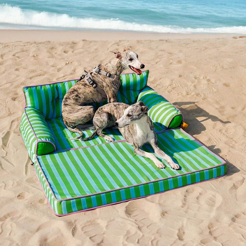 Canapé-lit pliable déperlant pour chien à rayures tendance - Sunny Siesta - Image 21