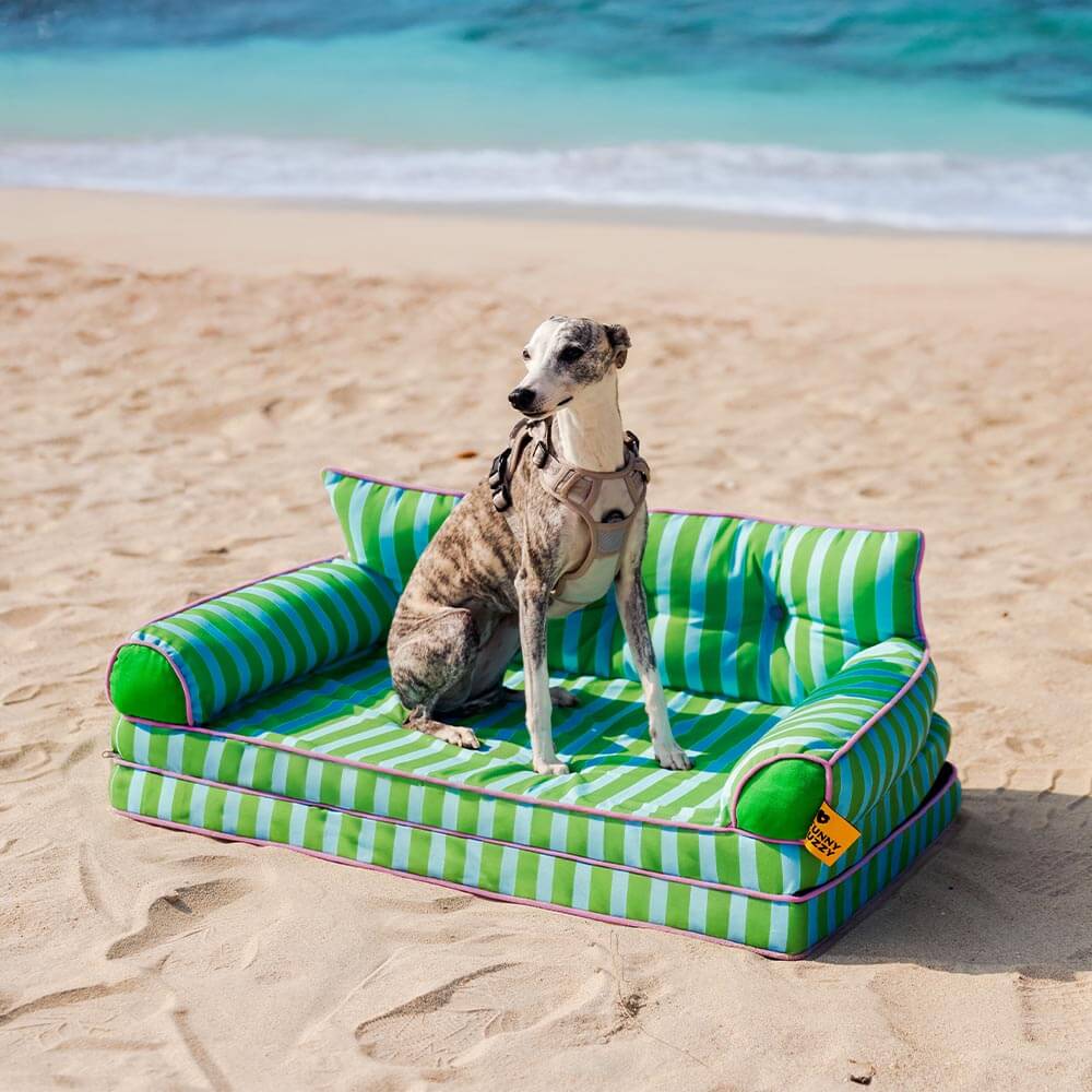 Canapé-lit pliable déperlant pour chien à rayures tendance - Sunny Siesta - Image 22