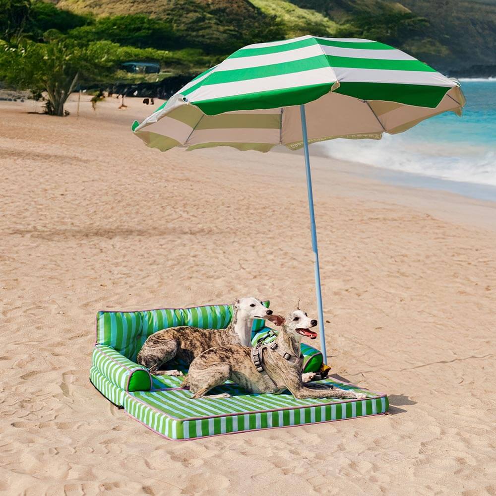 Canapé-lit pliable déperlant pour chien à rayures tendance - Sunny Siesta - Image 23