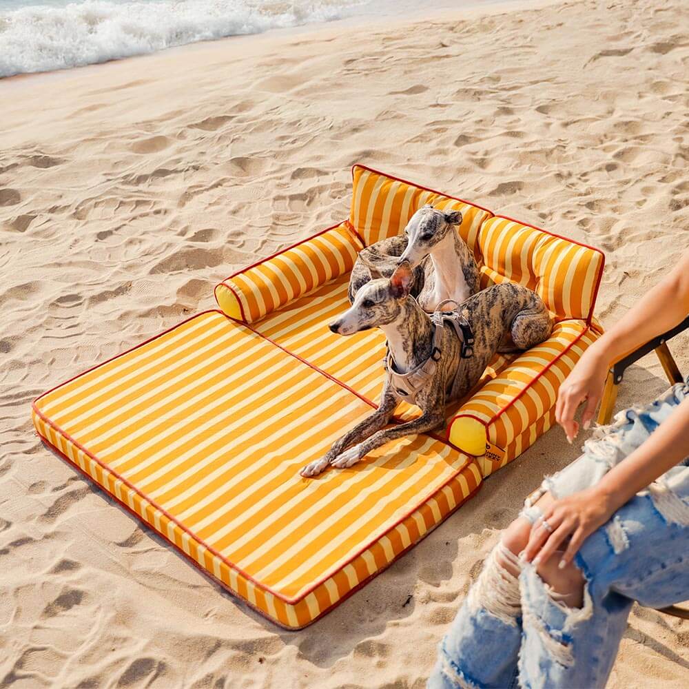 Canapé-lit pliable déperlant pour chien à rayures tendance - Sunny Siesta - Image 24