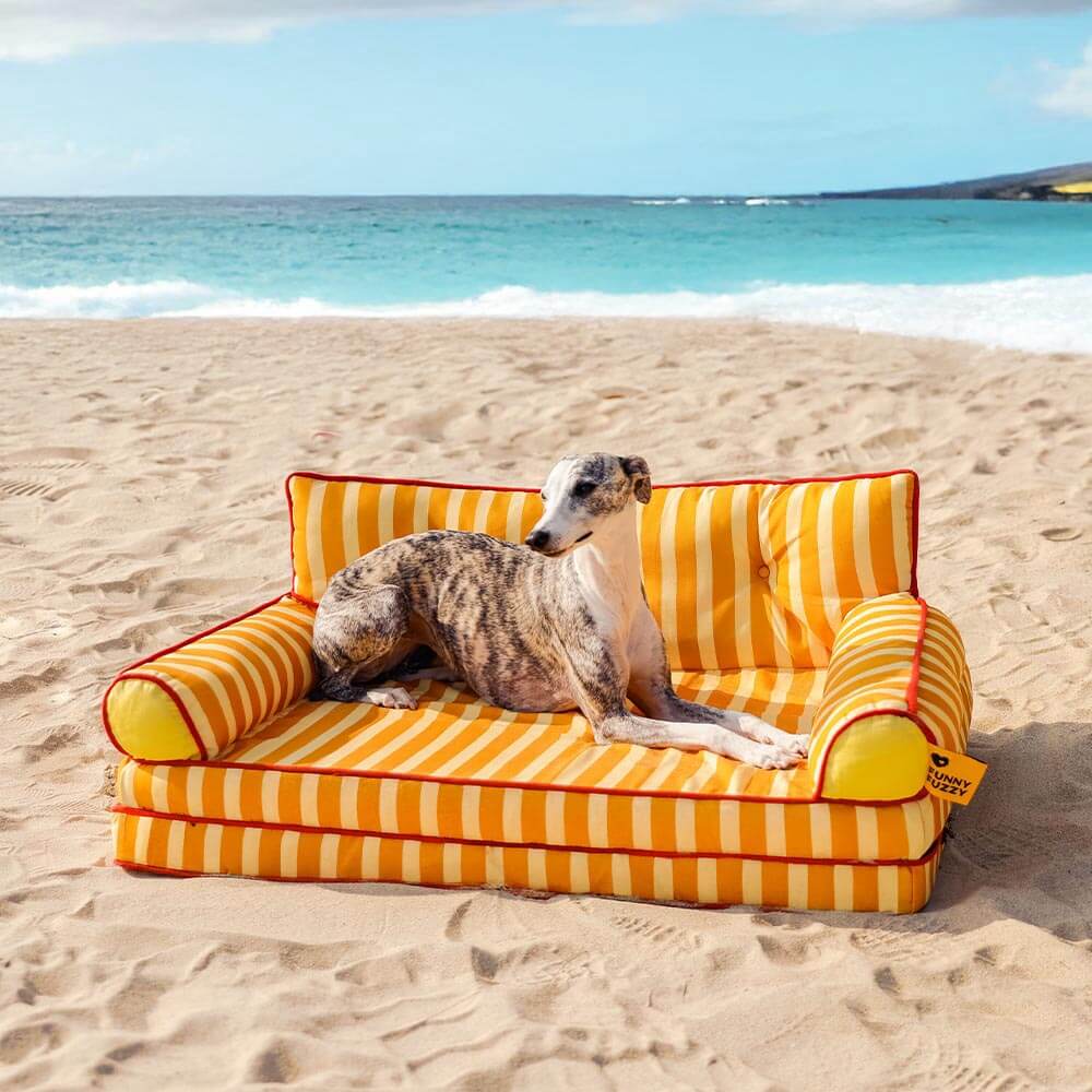 Canapé-lit pliable déperlant pour chien à rayures tendance - Sunny Siesta - Image 25