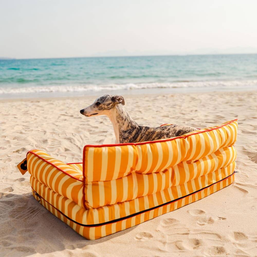 Canapé-lit pliable déperlant pour chien à rayures tendance - Sunny Siesta - Image 26