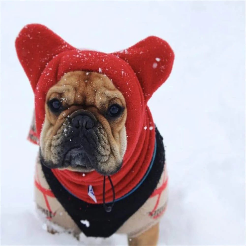 Capuche polaire chien oreilles d'ours couvre-chef hiver amusant confortable - Image 3