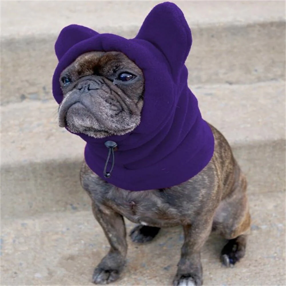 Capuche polaire chien oreilles d'ours couvre-chef hiver amusant confortable - Image 4