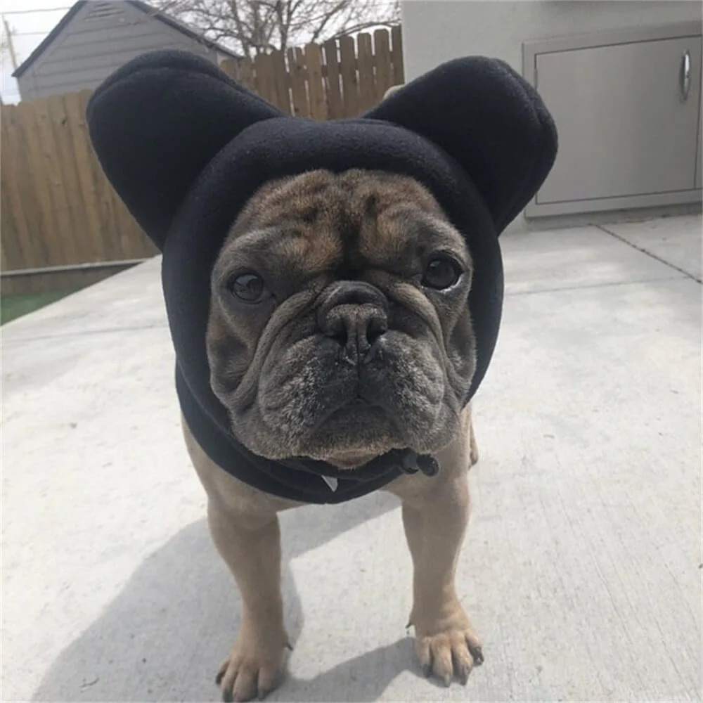 Capuche polaire chien oreilles d'ours couvre-chef hiver amusant confortable - Image 6