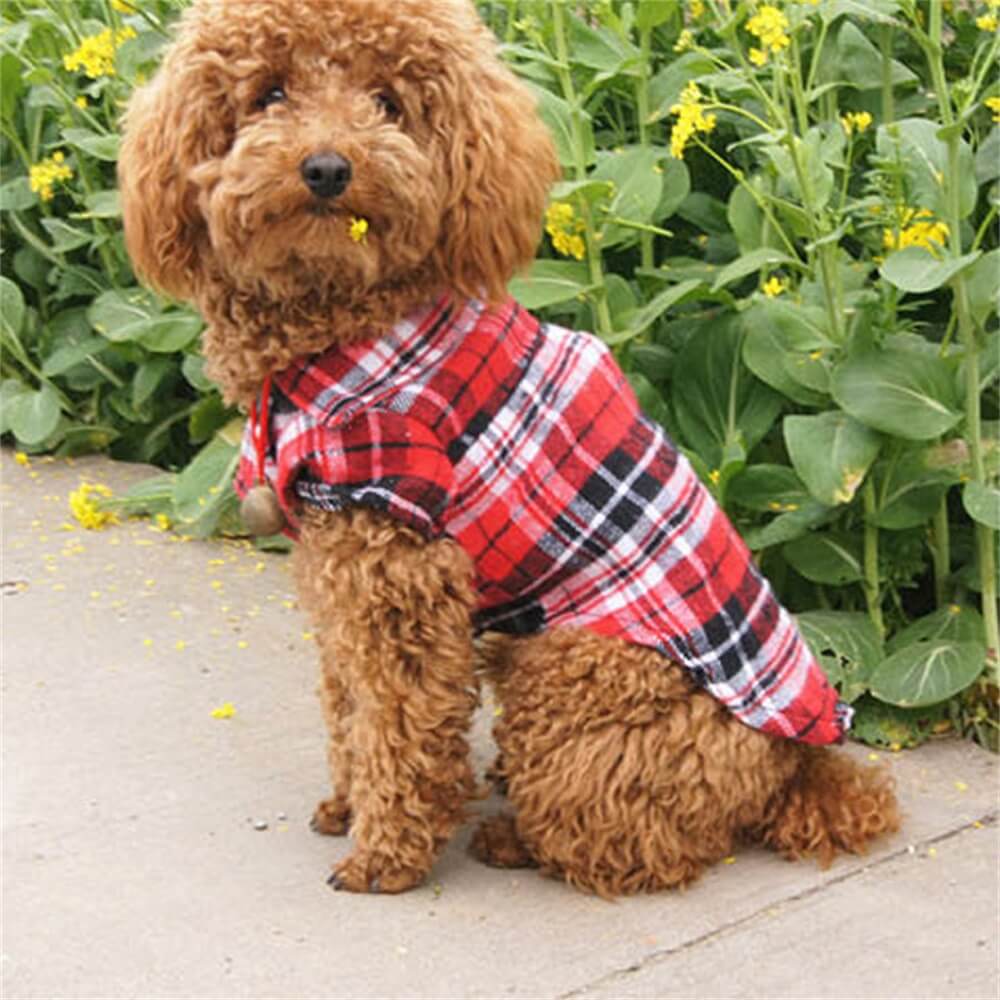 Chemise à carreaux classique pour chien - Confortable et élégante pour toutes les occasions - Image 6