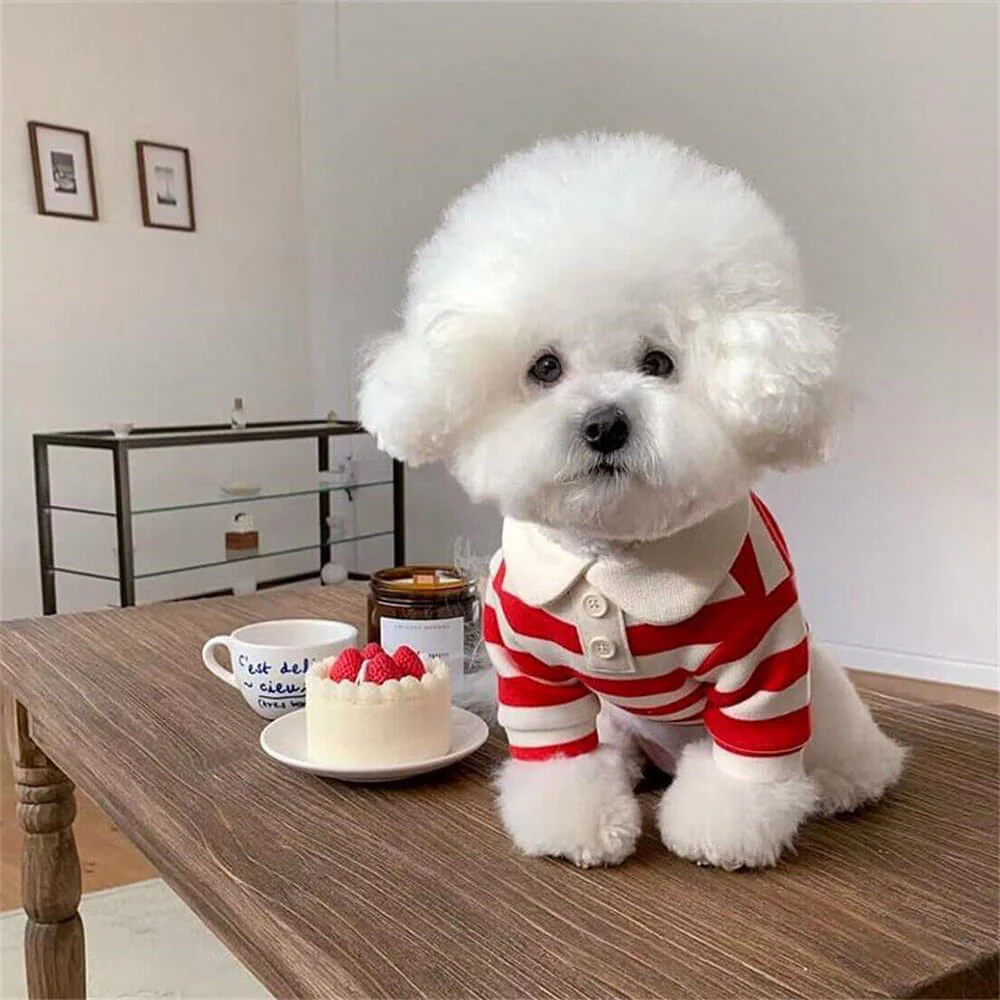 Chemises Polo Rayées Classiques pour Chiens - Image 12