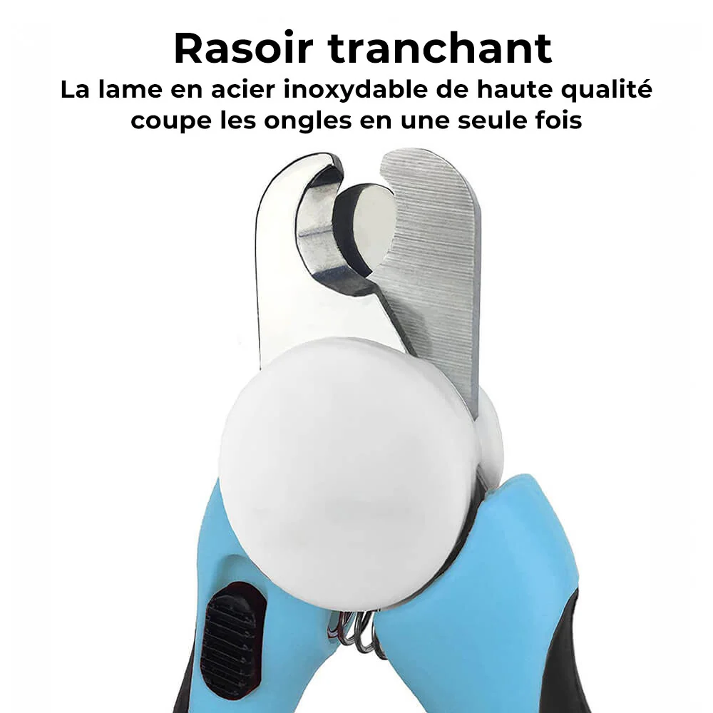 Coupe-ongles professionnel pour chien avec lime intégrée - Image 3