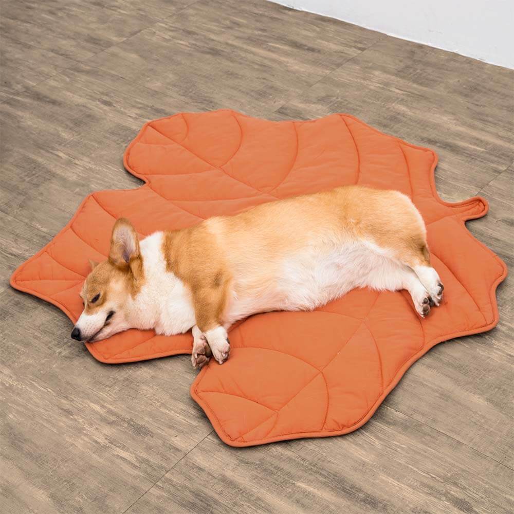 Couverture pour Chien en Forme de Feuille - Image 12