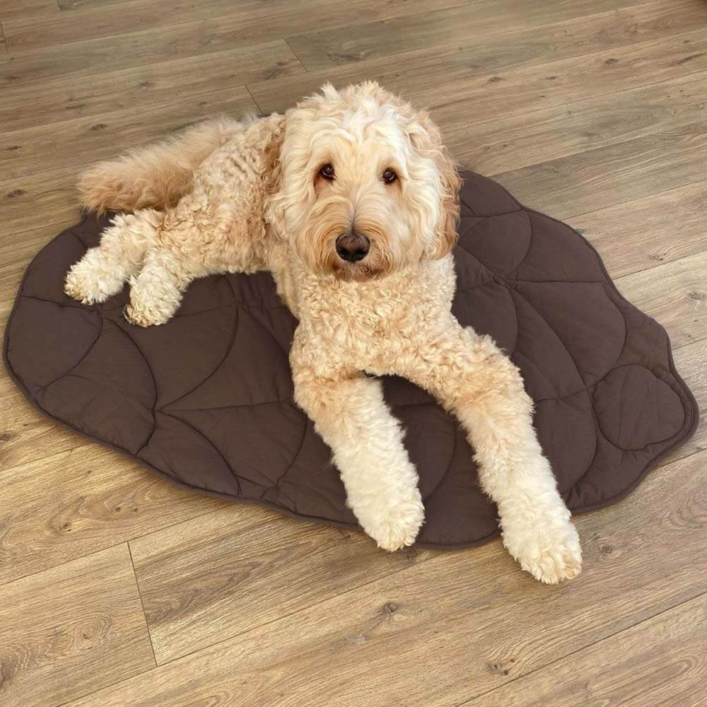 Couverture pour Chien en Forme de Feuille - Image 14