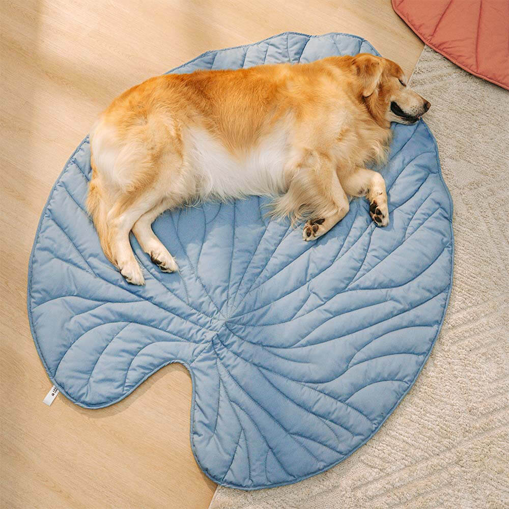 Couverture pour Chien en Forme de Feuille - Image 15
