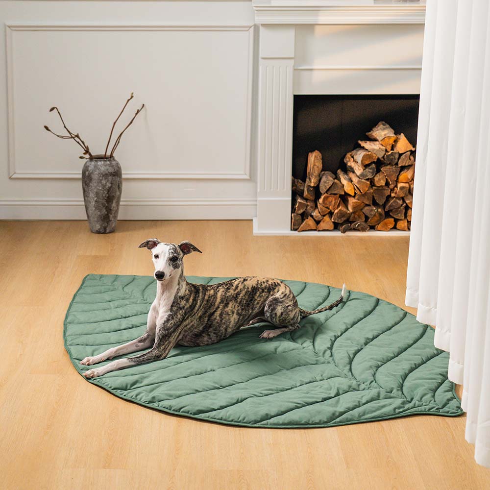Couverture pour Chien en Forme de Feuille - Image 16