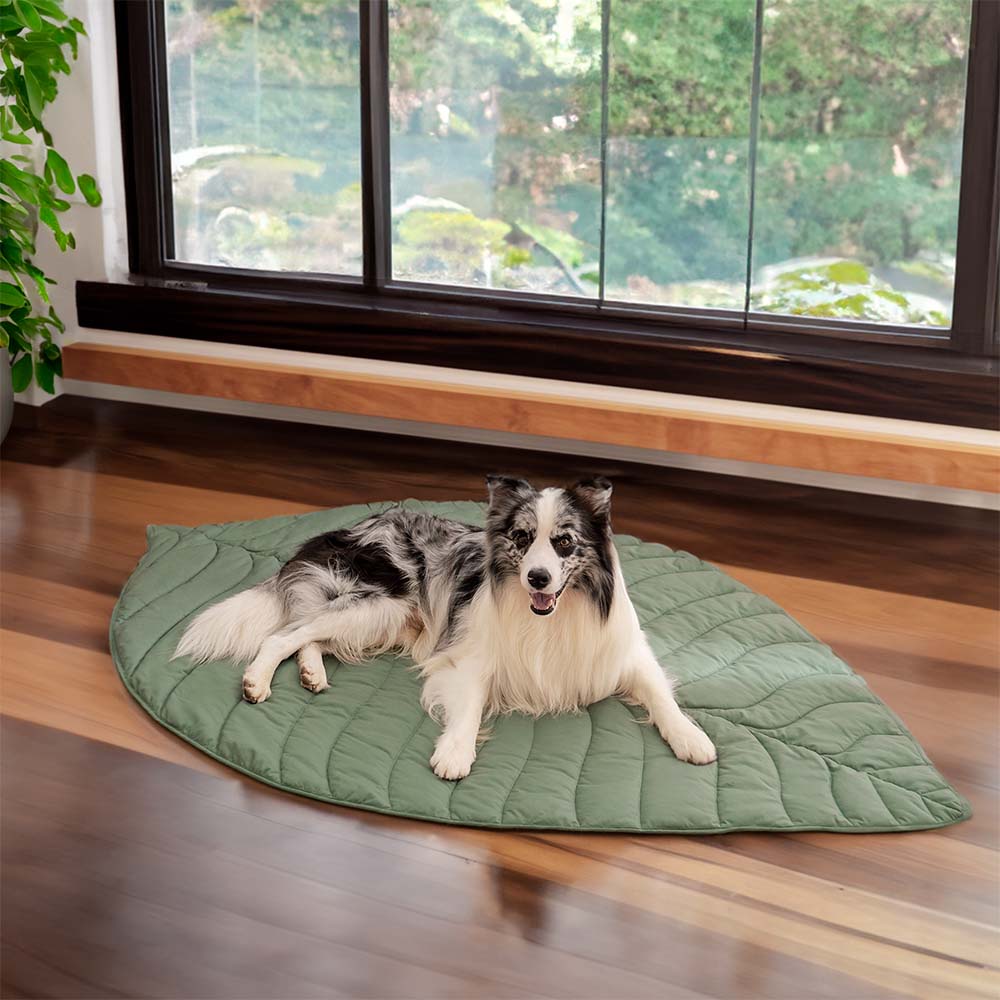 Couverture pour Chien en Forme de Feuille - Image 28