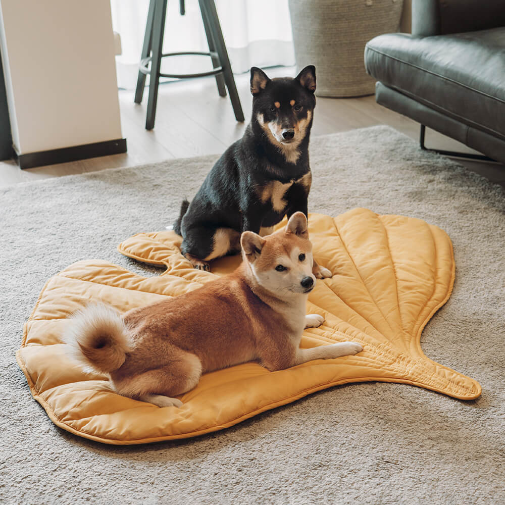 Couverture pour Chien en Forme de Feuille - Image 5
