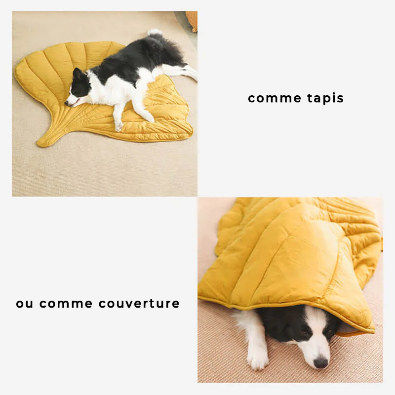 Couverture pour Chien en Forme de Feuille - Image 7