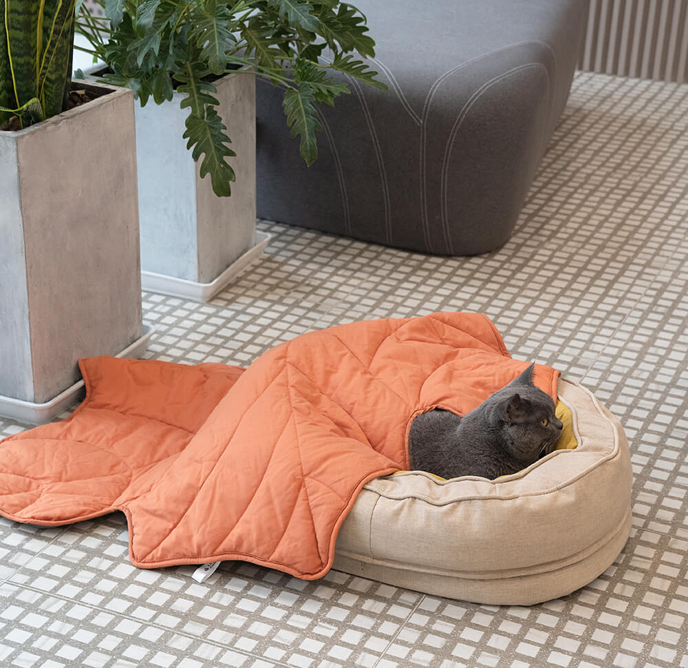 Couverture pour chien en forme de feuille avec lit ovale pour chien - Image 12