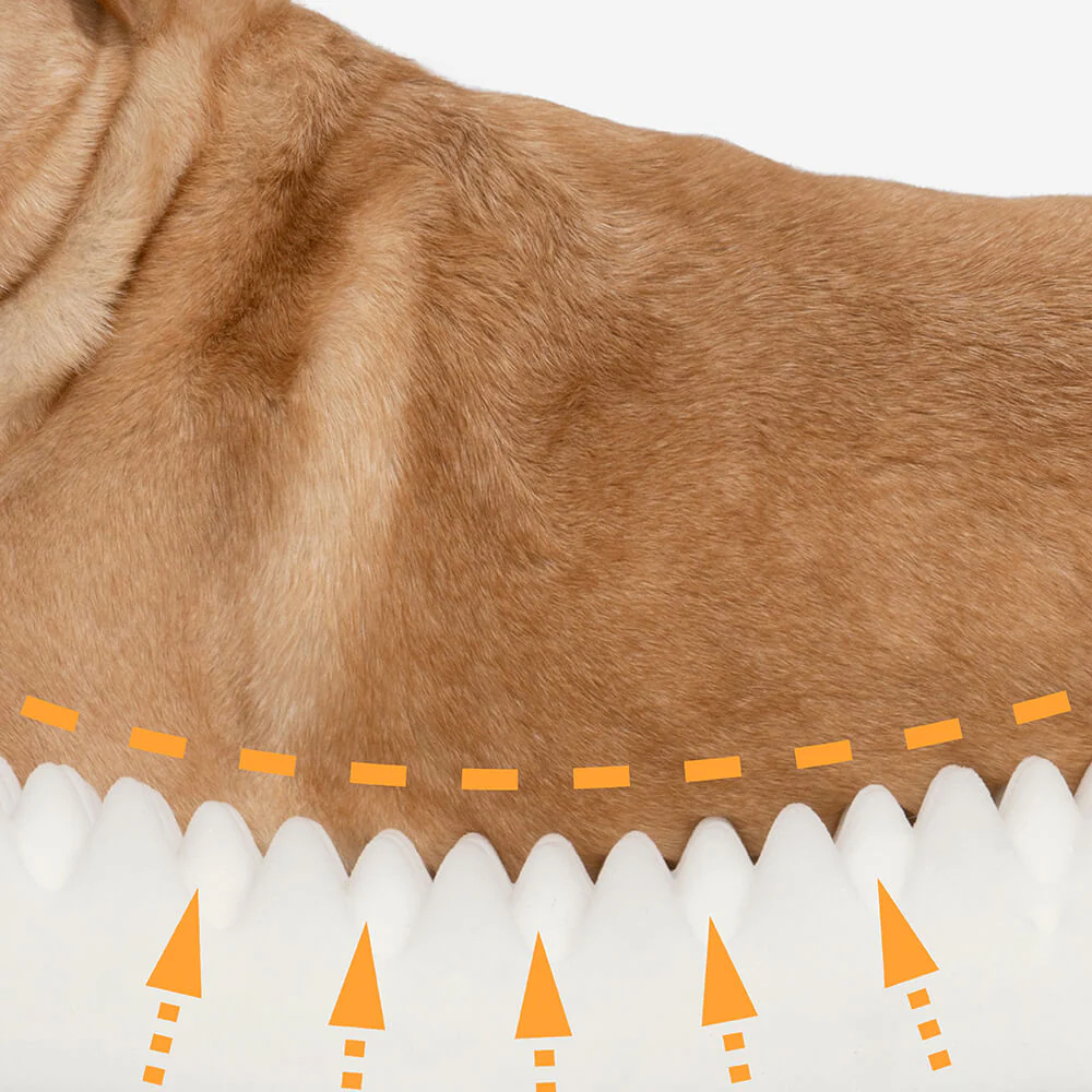 Couverture pour chien en forme de feuille avec lit ovale pour chien - Image 7