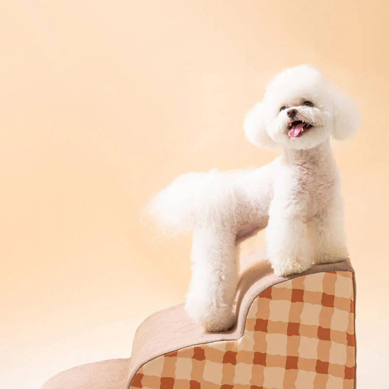 Échelle d'escalade pour animaux à motif uni Échelle amovible pour chiens - Image 9