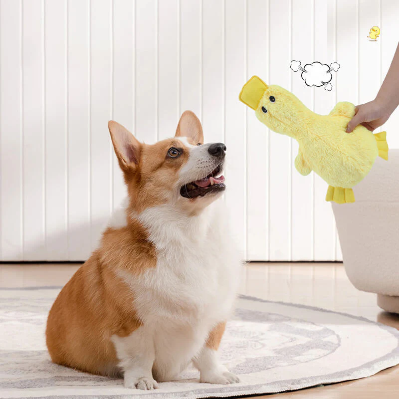 Ensemble de jouets interactifs à mâcher pour chien amusant - Image 3