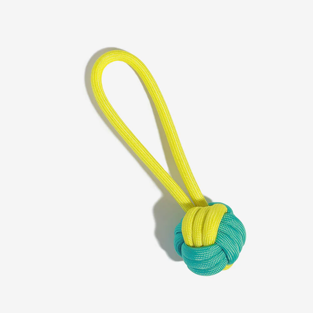 Ensemble de jouets interactifs à mâcher pour chien amusant - Image 7