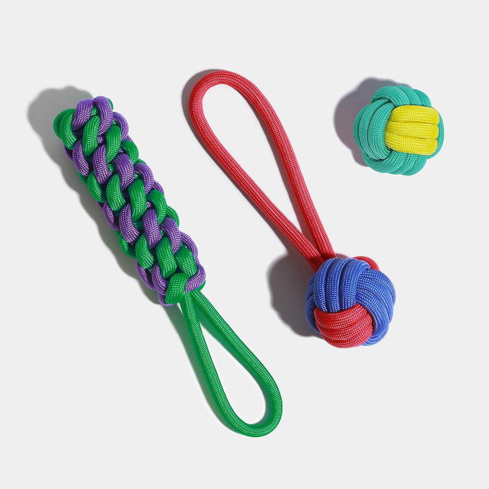 Ensemble de Jouets pour Chiens en Corde - Choc des Couleurs - Image 10