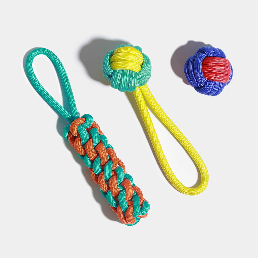 Ensemble de Jouets pour Chiens en Corde - Choc des Couleurs - Image 11