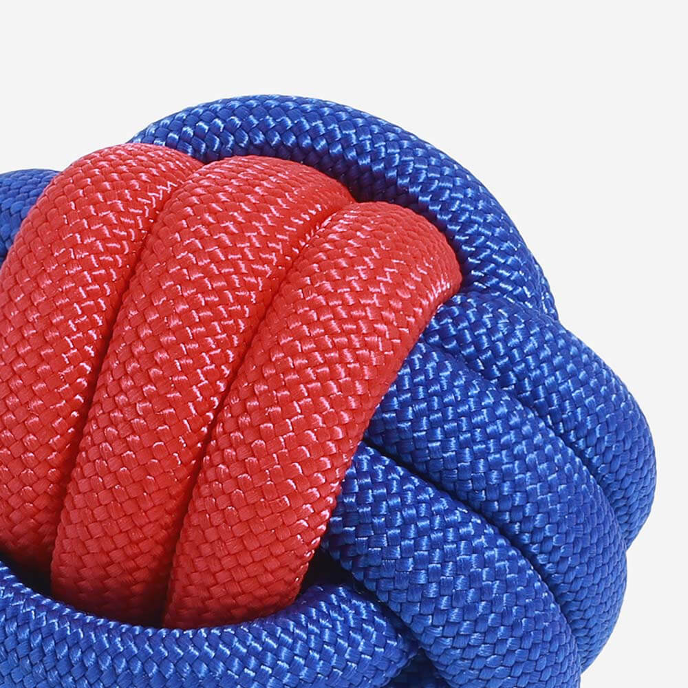 Ensemble de Jouets pour Chiens en Corde - Choc des Couleurs - Image 4