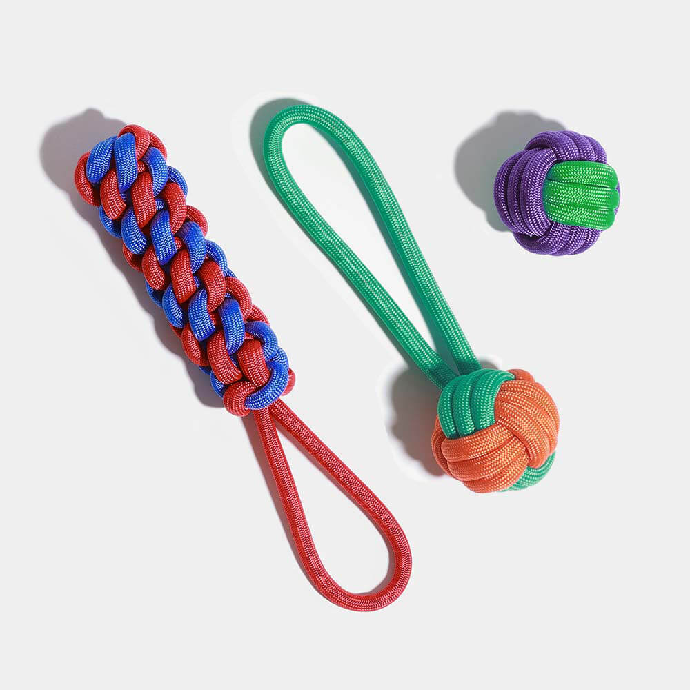 Ensemble de Jouets pour Chiens en Corde - Choc des Couleurs - Image 8