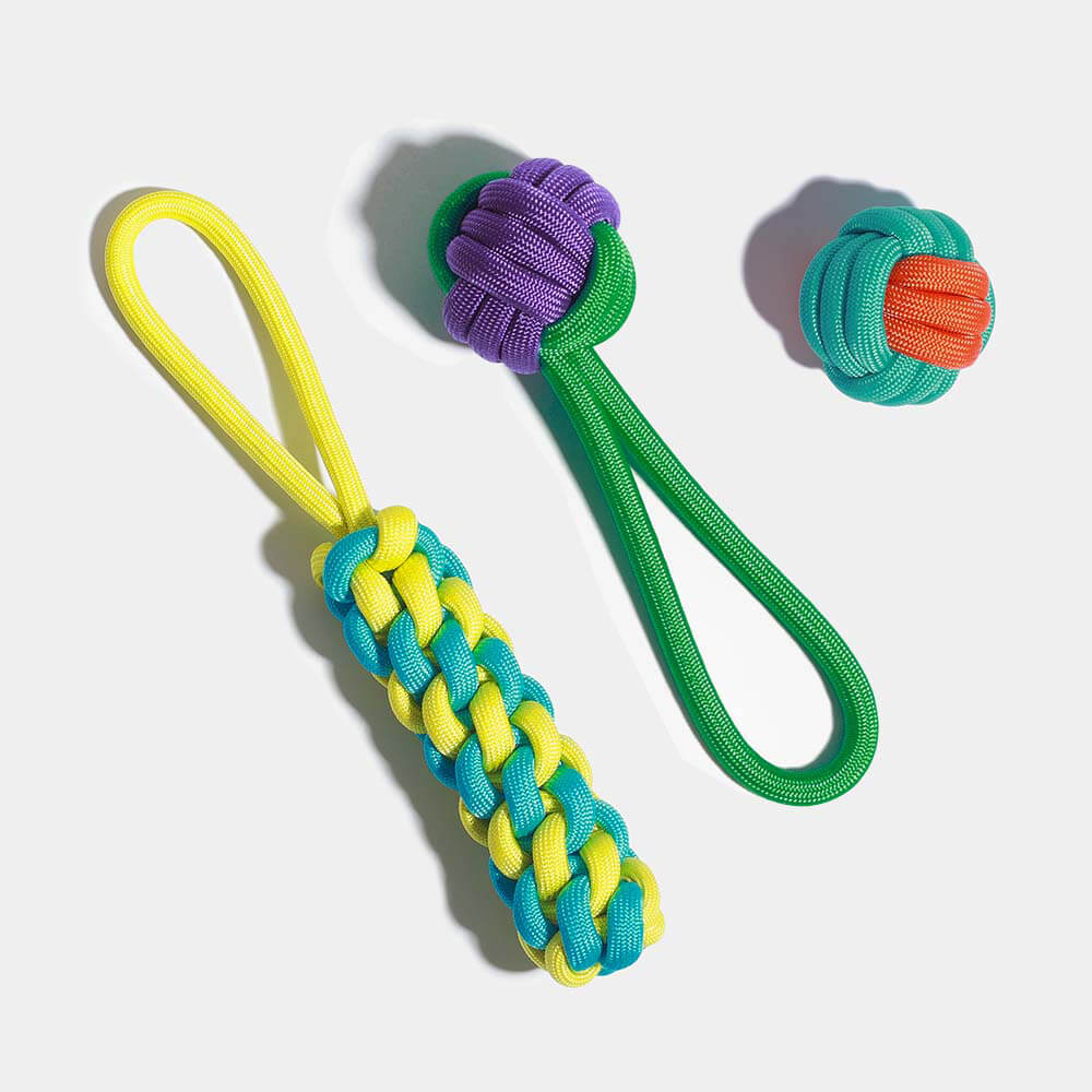 Ensemble de Jouets pour Chiens en Corde - Choc des Couleurs - Image 9