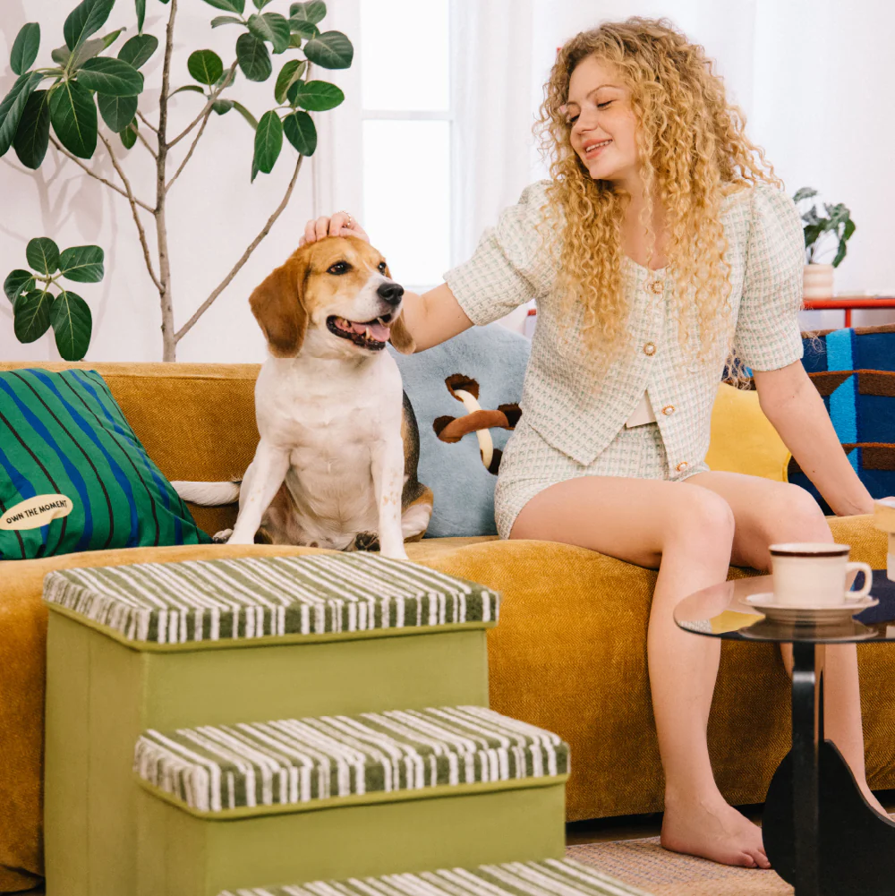 Escalier pour chien pliable avec rangement et condo - Funnyfuzzy SnugNest - Image 9