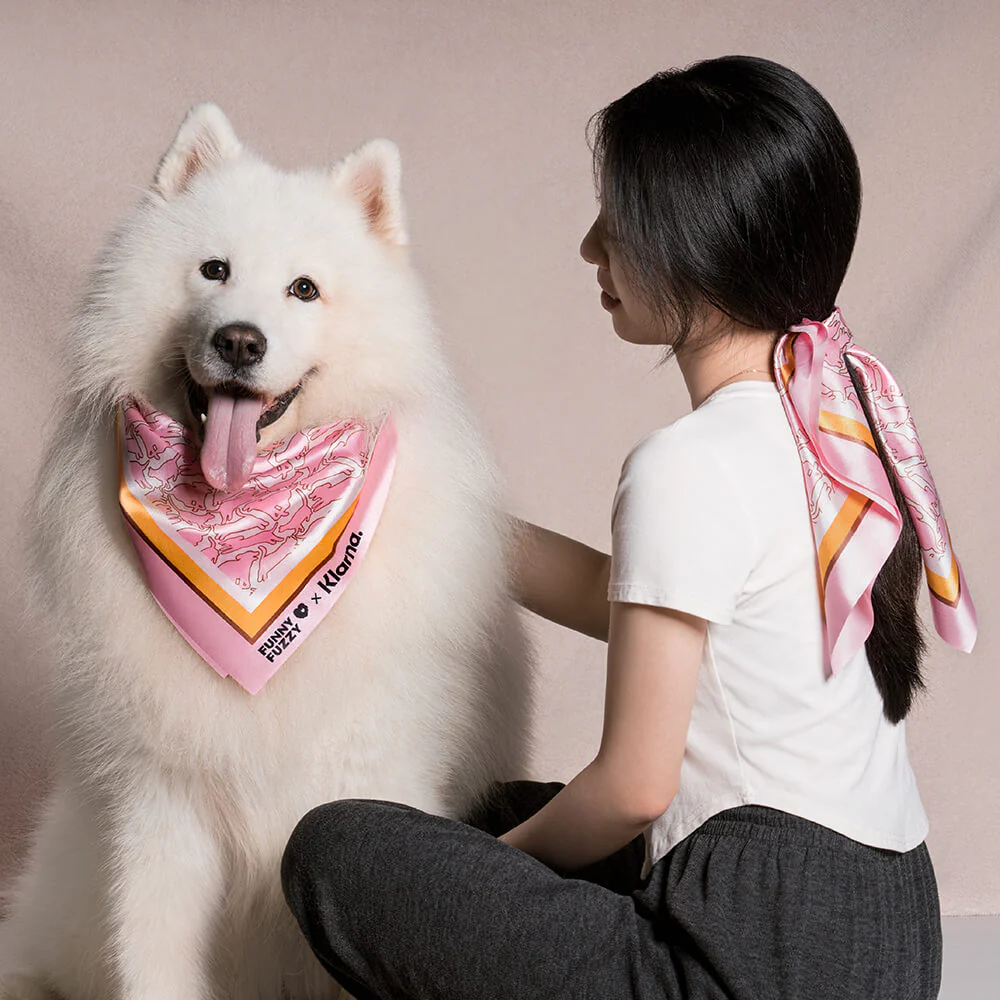 FUNNYFUZZY X Klarna Siège auto sécuritaire pour chien - Image 13