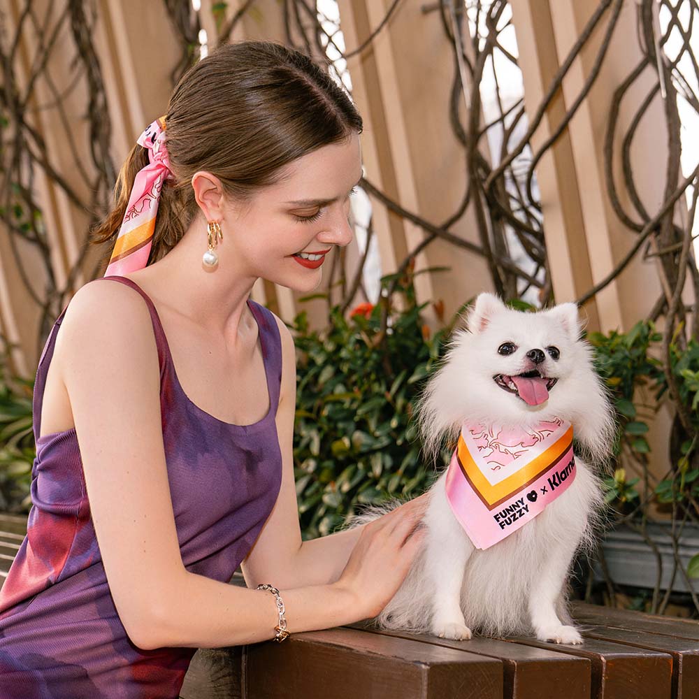 FUNNYFUZZY X Klarna Siège auto sécuritaire pour chien - Image 15