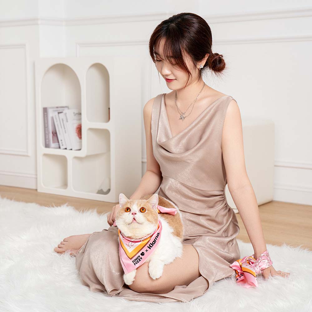 FUNNYFUZZY X Klarna Siège auto sécuritaire pour chien - Image 17
