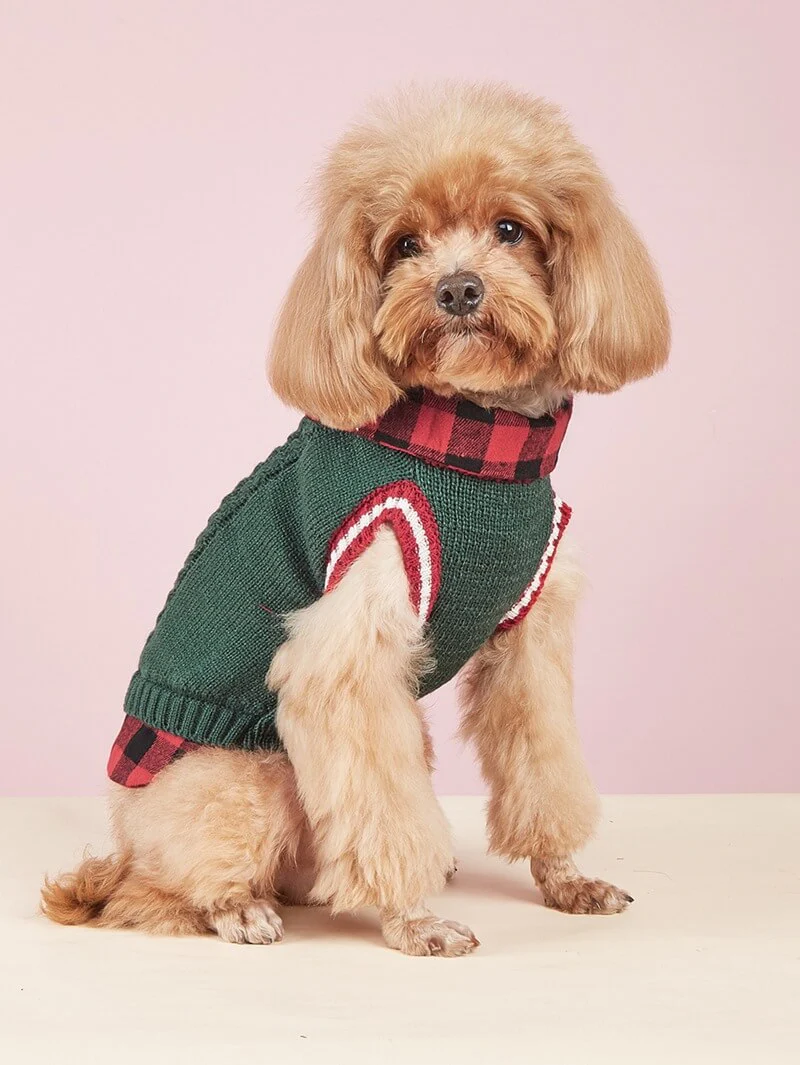 Gilet tricoté torsadé pour chien avec col à carreaux idéal pour l'automne et l'hiver - Image 8