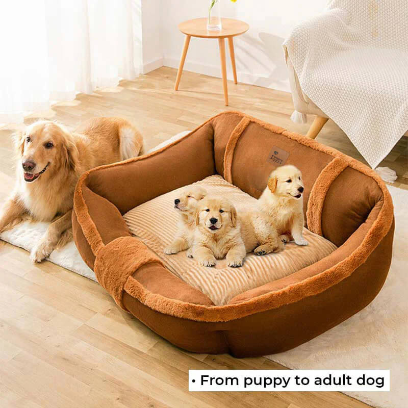 Grand canapé-lit vintage confortable et apaisant pour chien - Image 12