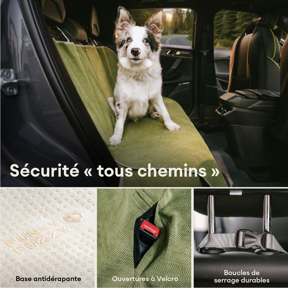 Housse de siège auto pour chien imperméable, résistante aux taches, toutes saisons – Rétro - Image 3