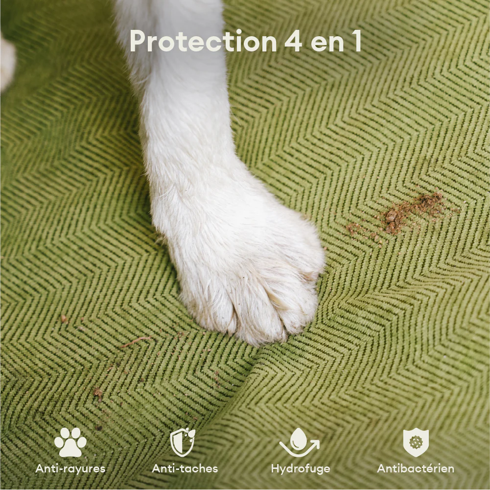 Housse de siège auto pour chien imperméable, résistante aux taches, toutes saisons – Rétro - Image 4