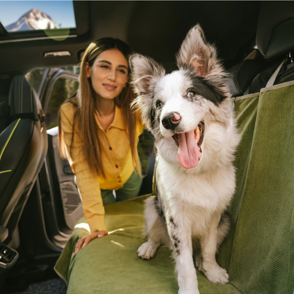 Housse de siège auto pour chien imperméable, résistante aux taches, toutes saisons – Rétro - Image 8