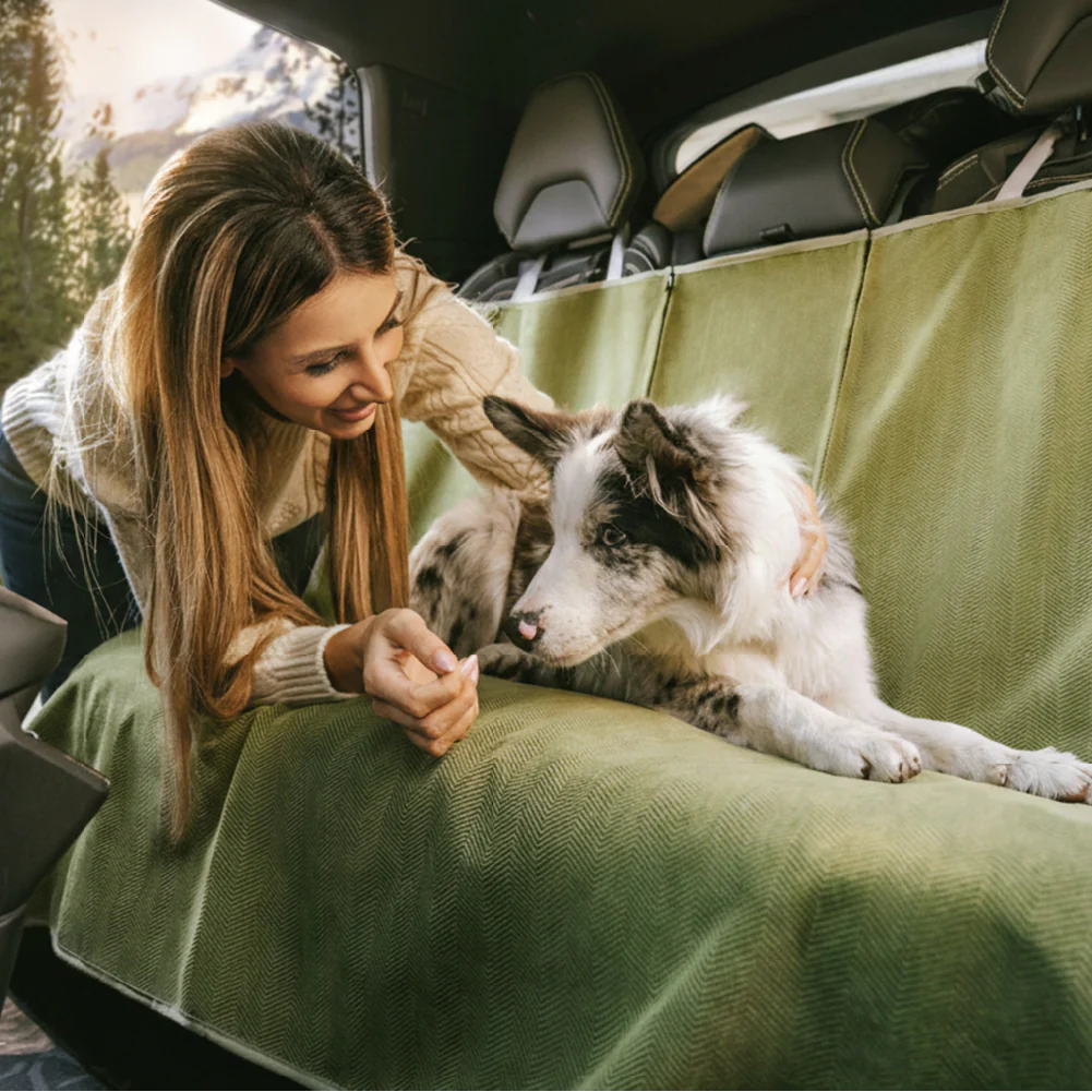 Housse de siège auto pour chien imperméable, résistante aux taches, toutes saisons – Rétro - Image 9